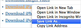 Save link as...